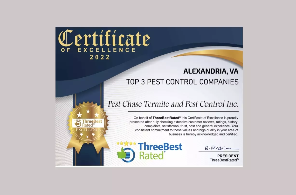 Awarded Top Rated Pest Control Company in Springfield