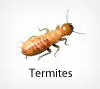 Termite Control by Pest Chase